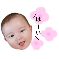 rina_20200213212033