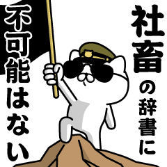 "SHACHIKU"name/Military cat