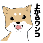 Dog from above