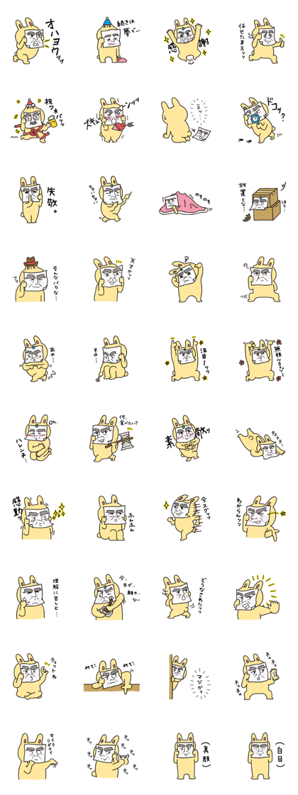 strong features rabbit