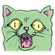Feeling bad and loose stray cat