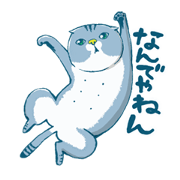 funny cat Nyanmaru