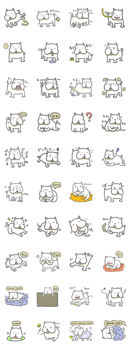 French bulldog KUNKUN