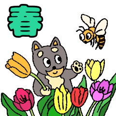shibagoro's spring life