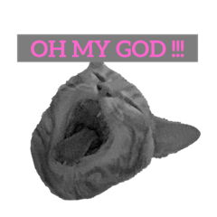 taka_taka_20200211103646
