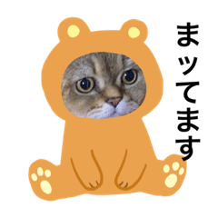 PONTA_20200213224018