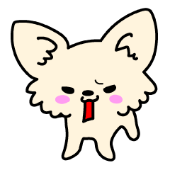 Chiwawa Cute dog "kabocha"