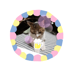 jun414