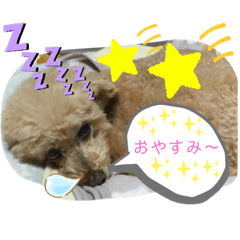 natsumi_20200214001254