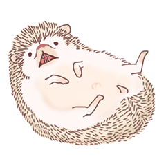 "TAWASHI" Si Mungil Hedgehog 2
