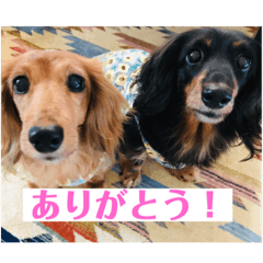 saya_20200214095107