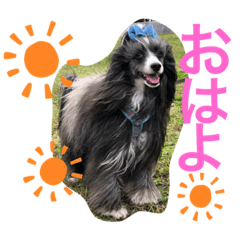 sumire_20200214111023