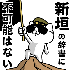"ARAGAKI"name/Military cat