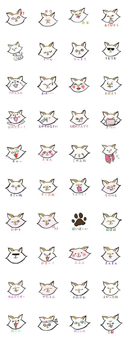 cat nyannko