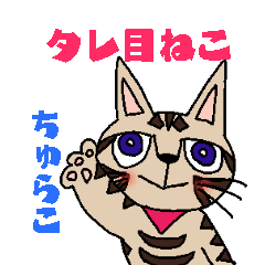 Drooling cat churako
