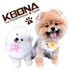 KBONA - The Pomeranian's Diary II