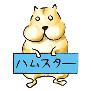 A day in hamster