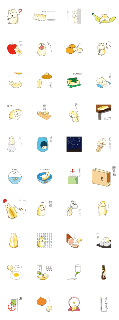 A day in hamster