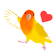 Love bird Rubio!!