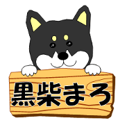 365 days of black shiba Maro