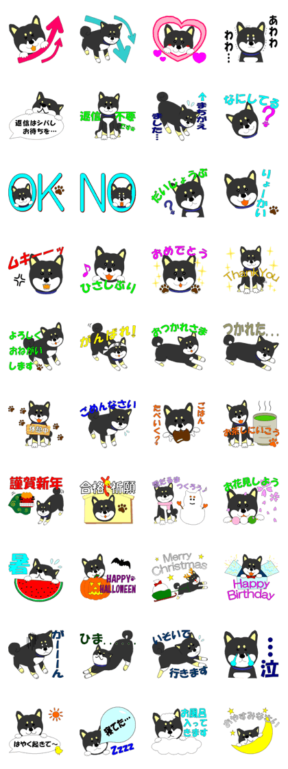 365 days of black shiba Maro