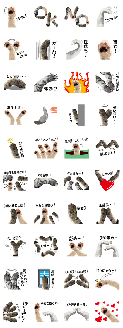 Hand of a cat