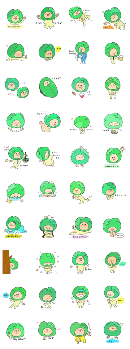 I am cabbage