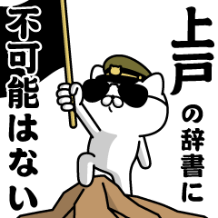 "UETO"name/Military cat
