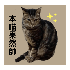 迷人帥氣的皮皮