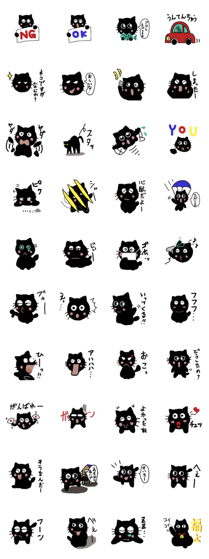Black cat's