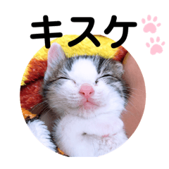 nanana_20200214085818