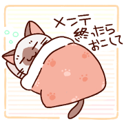 Siamese cat to the net game