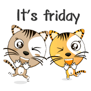 TIGER CAT: IQ & EQ TIGER CAT: IQ & EQ