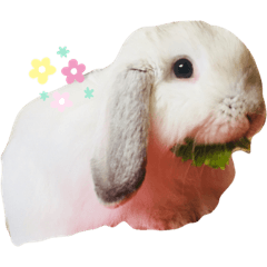 hana_20200214153347