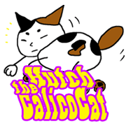 Hutch the CalicoCat
