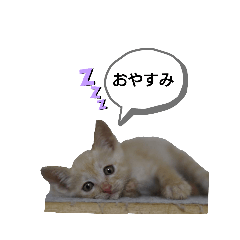 jun_mofuneko