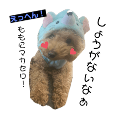 MIZUKI_20200214170350