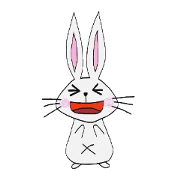every day cute rabbit