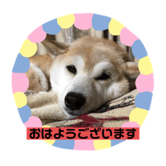 Mizuki_20200214190029