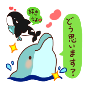 killer whales&Dolphin&Talk