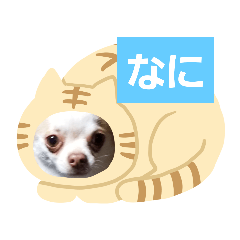 rinrin_20200214195811