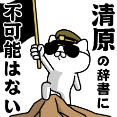 "KIYOHARA"name/Military cat