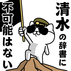 "SHIMIZU"name/Military cat