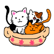 yuru cats