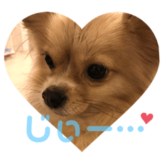 HANA_20200214205550
