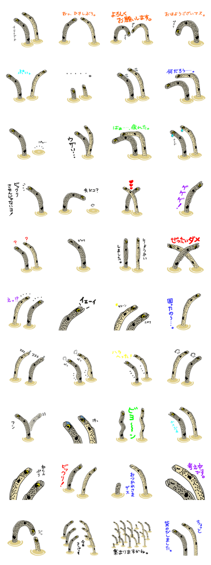 Garden eels
