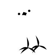 Qi Qi