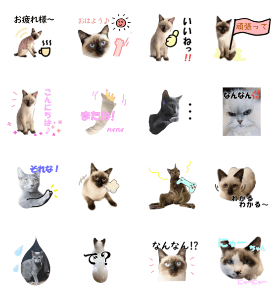 ロシアンブルー シャムミックスたち Lineクリエイターズスタンプ Stamplist ロシアンブルー シャムミックスたち Lineクリエイターズスタンプ Stamplist