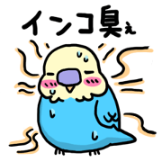 many parakeet Sticker