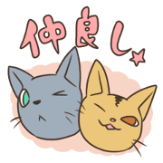 Abyssinian&Russian Blue